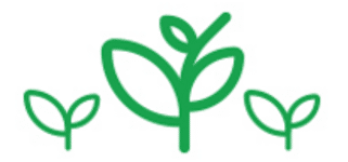 biobrandstof uit algen biobrandstoffen besparen van CO2